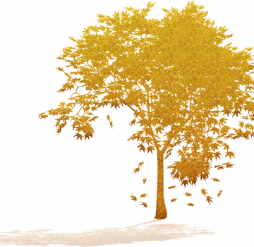 tree-silhouettes-5067441_1920 tree-silhouettes-5067441_1920